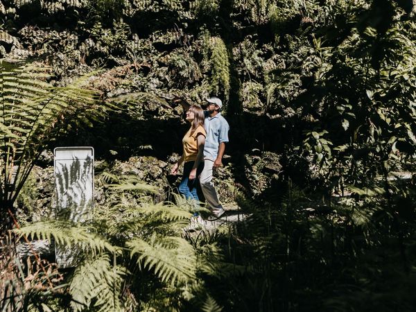 Two visitors among the tree ferns in the Botanical Garden glasshouses.