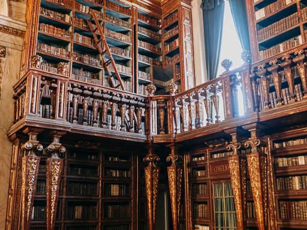 A hall of the Joanina Library, its walls lined floor to ceiling with leather-bound books.