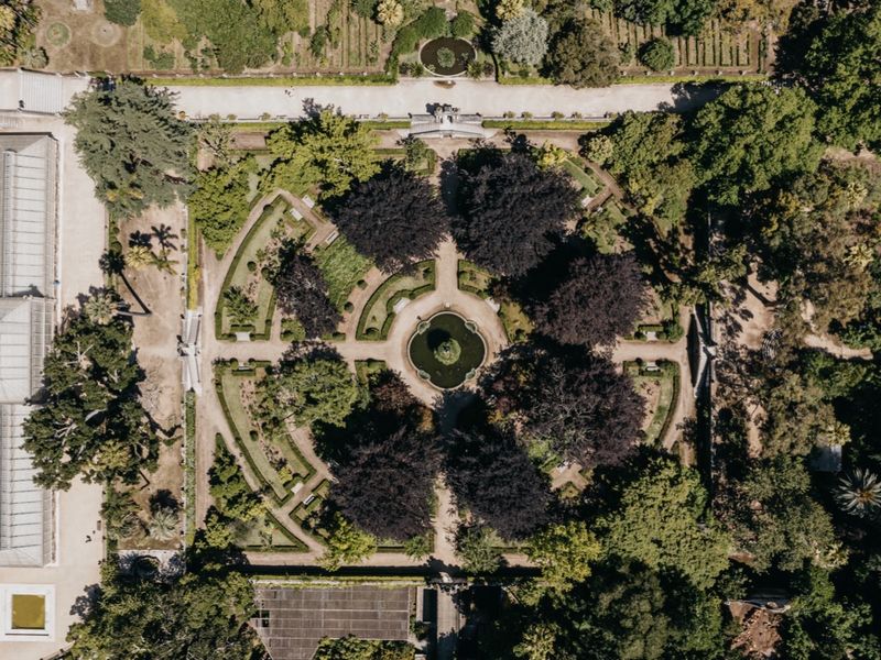 The formal terraces of the Botanical Garden seen from above.