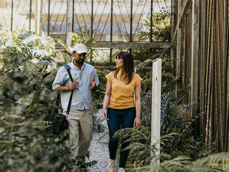 Visitors walking the central aisle of the cold greenhouse, ferns on both sides.