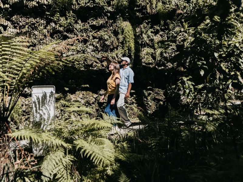 Two visitors among the tree ferns in the Botanical Garden glasshouses.