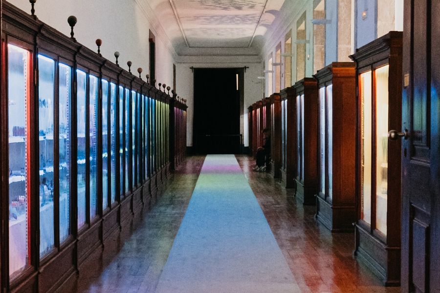The length of the Mineral Gallery, cases receding towards a bright doorway.