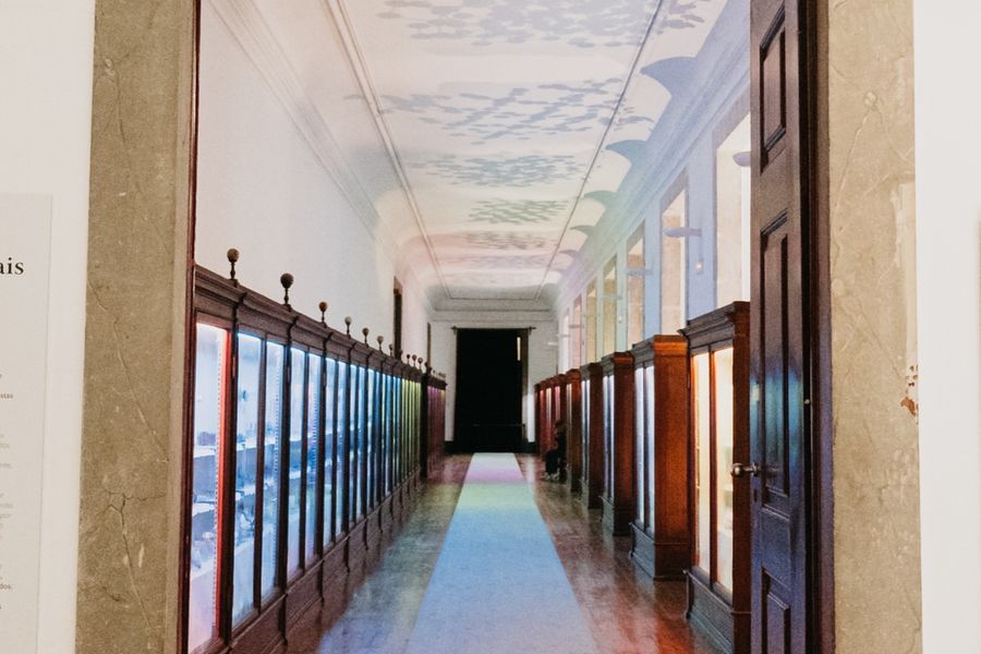 Display cases lining both walls of the Mineral Gallery.