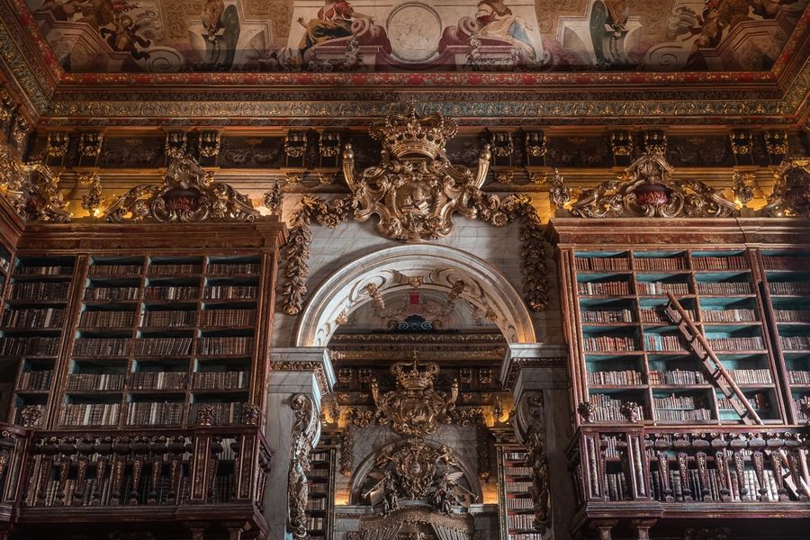 The full height of a Joanina reading room, from the tiled floor to the painted ceiling.